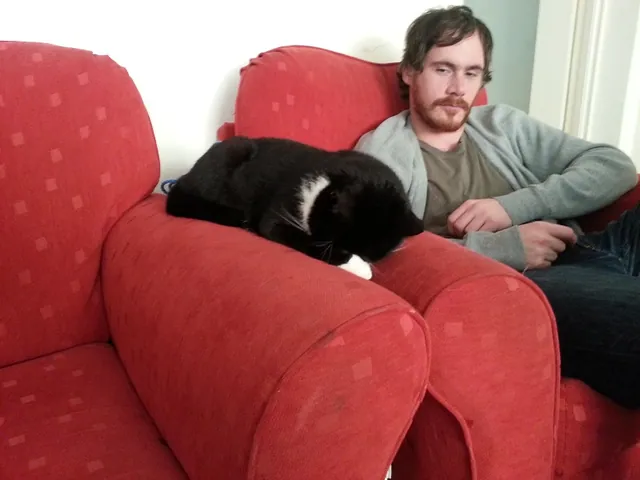 #7 play it cool and stay in focus sleeping kitteh